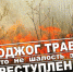 Пал сухой травы: опасность и ответственность! - Город Талдом