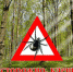 kleschi.jpg - Газета Заря