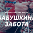 Подмосковные единороссы объявили о старте в регионе благотворительной акции «Бабушкина забота» - Единая Россия