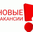 Вакансии в Талдоме - Город Талдом