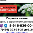 В Талдомском  городском  округе открыта «горячая  линия» по вопросам связанных с произрастанием борщевика Сосновского. - Город Талдом