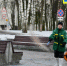 Борьба с гололедом реагентами разозлила жителей села под Талдомом - Regions.Ru