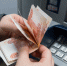 В Талдомском округе губернаторскую стипендию получили более 60 детей-сирот - Regions.Ru