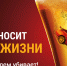 Информация о проведении проверок водителей на трезвость - Город Талдом