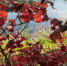 Зачем 3 октября на Астафия Ветряка белье на улицу выносили и мелочь в кошельке не считали - Regions.Ru
