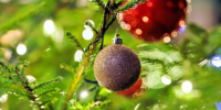 Волшебство в кадре: где можно сделать атмосферные новогодние фото в Талдомском округе - Regions.Ru